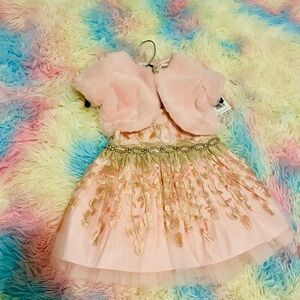 Pink Baby girl diamond dress with faux fur Jacket with Pearl Button 12 months